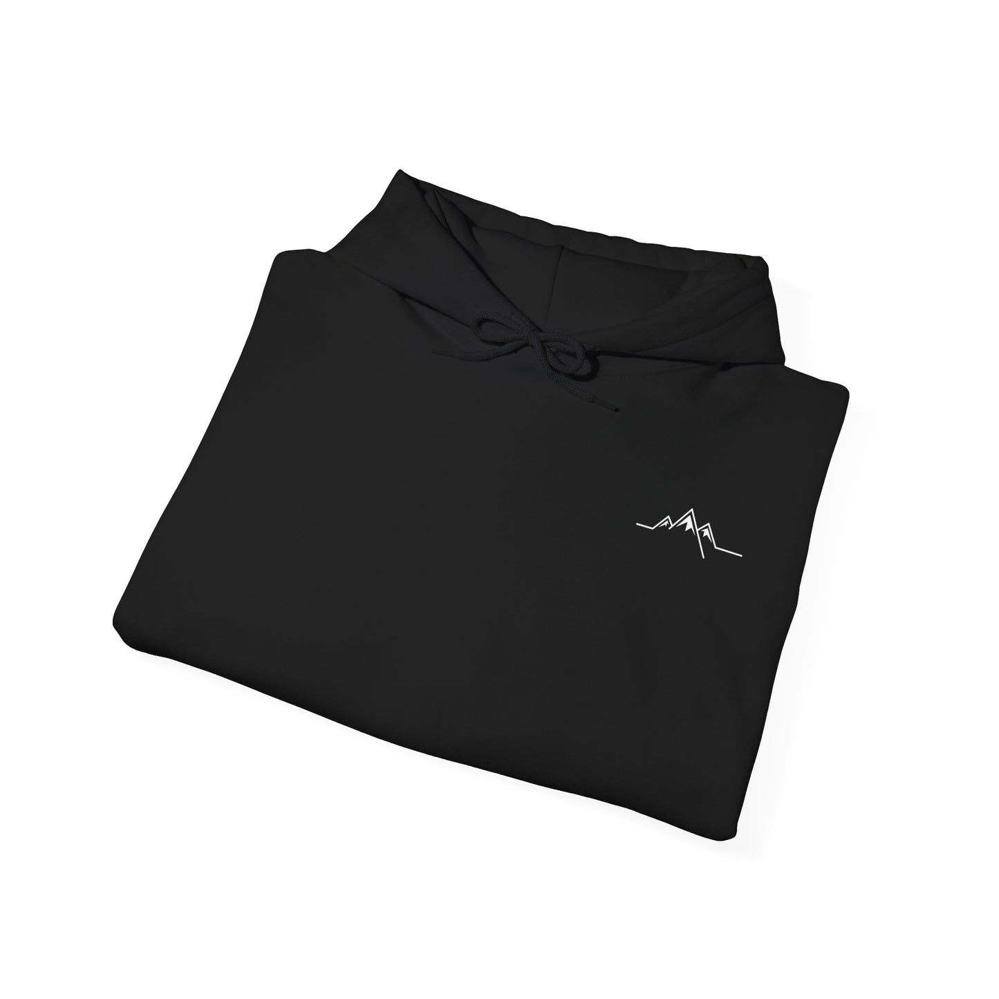 Will Over Luck | Heavy-Blend Hoodie - Black/Teal