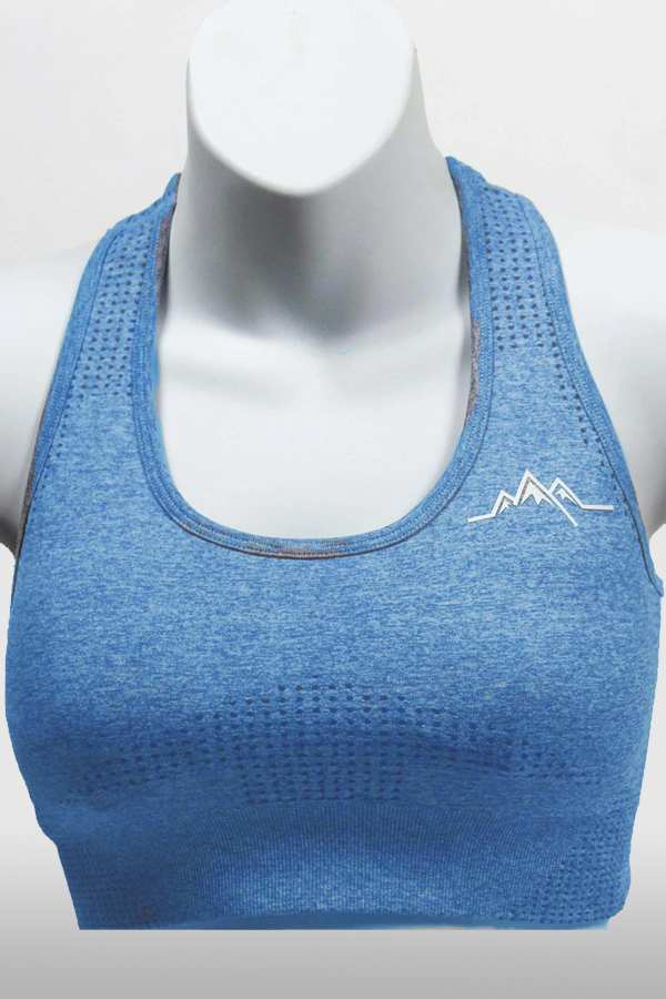 Light Blue Sports Bra